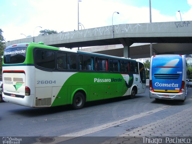 Pássaro Verde 26004 na cidade de Belo Horizonte, Minas Gerais, Brasil, por Thiago  Pacheco. ID da foto: 2258228.