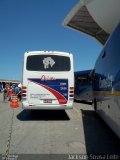 Turismo e Fretamento Orion Transportes 2404 na cidade de Aparecida, São Paulo, Brasil, por Jackson Sousa Leite. Número da foto: #2257543.