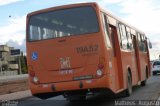 Araucária Transportes Coletivos 19A52 na cidade de Curitiba, Paraná, Brasil, por Matheus  Augusto. Número da foto: #2257633.