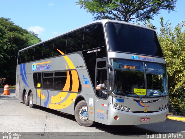 Transirmãos Turismo 8000 na cidade de São Paulo, São Paulo, Brasil, por Sandro Alves. Número da foto: #2260580.