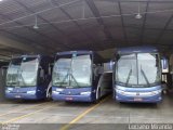 Viação Salutaris e Turismo 13986 na cidade de Ponte Nova, Minas Gerais, Brasil, por Luciano Miranda. Número da foto: #2259750.