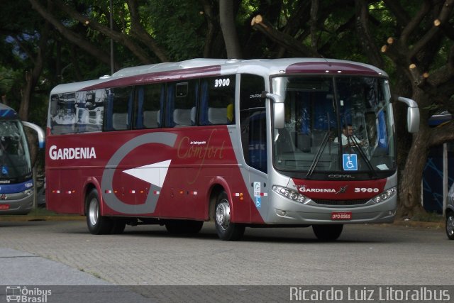 Expresso Gardenia 3900 na cidade de São Paulo, São Paulo, Brasil, por Ricardo Luiz. ID da foto: 2270038.