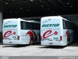 Eucatur - Empresa União Cascavel de Transportes e Turismo 3229 na cidade de Manaus, Amazonas, Brasil, por Gabriel Pinheiro. Número da foto: #2271465.
