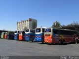 Pullman Bus  na cidade de , por Diego Alarcon. Número da foto: #2272969.