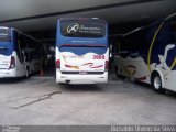 Sussantur 2009 na cidade de Pardinho, São Paulo, Brasil, por Ronaldo Divino Aparecido da Silva. Número da foto: #:id.