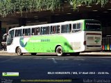 Pássaro Verde 26004 na cidade de Belo Horizonte, Minas Gerais, Brasil, por Valter Francisco. Número da foto: #:id.