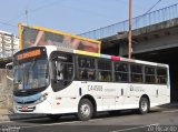 Auto Viação Três Amigos C44508 na cidade de Rio de Janeiro, Rio de Janeiro, Brasil, por Zé Ricardo Reis. Número da foto: #:id.