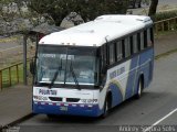 Pulmitan De Liberia PB 1106 na cidade de Belén, Heredia, Costa Rica, por Andrey Segura Solís. Número da foto: #2223461.