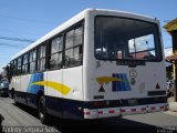 Seudo 03 na cidade de Cartago, Cartago, Costa Rica, por Andrey Segura Solís. Número da foto: #2225635.