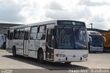 Volvo B290R na cidade de Maceió, Alagoas, Brasil, por Thiago Alex. ID da foto: :id.