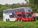 Pluma Conforto e Turismo 7012 na cidade de Santa Maria, Rio Grande do Sul, Brasil, por Andrey Carvalho Nunes. Número da foto: #2227258.