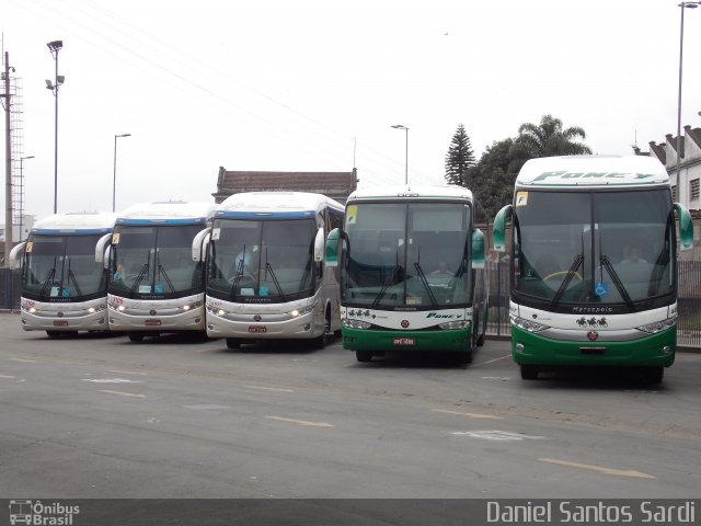 Trans Poney 4407 na cidade de Santos, São Paulo, Brasil, por Daniel Santos Sardi. Número da foto: #1597505.