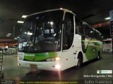Pássaro Verde 3880 na cidade de Belo Horizonte, Minas Gerais, Brasil, por Valter Francisco. Número da foto: #:id.