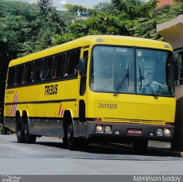 Viação Itapemirim 30185 na cidade de São Paulo, São Paulo, Brasil, por Adenilson Godoy. Número da foto: #1603031.