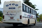 AVOA - Auto Viação Ourinhos Assis 8030 na cidade de Assis, São Paulo, Brasil, por Francisco Ivano. Número da foto: #1610008.