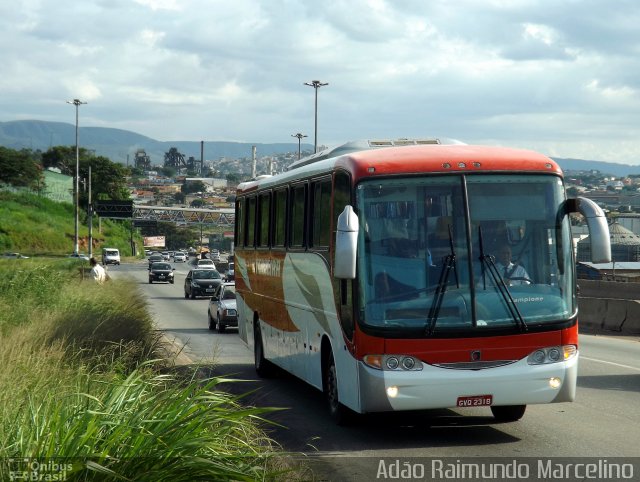 Empresa Irmãos Teixeira 45500 na cidade de Belo Horizonte, Minas Gerais, Brasil, por Adão Raimundo Marcelino. ID da foto: 1614067.