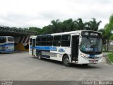 VIDA - Viação Danúbio Azul 09004 na cidade de Piedade, São Paulo, Brasil, por Cleber C.  Moreira. Número da foto: #1613575.