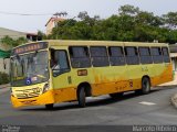Pampulha Transportes > Plena Transportes 10223 na cidade de Belo Horizonte, Minas Gerais, Brasil, por Marcelo Ribeiro. Número da foto: #:id.