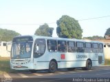 TCGL - Transportes Coletivos Grande Londrina 1133 na cidade de Londrina, Paraná, Brasil, por André Aguirra Taioqui. Número da foto: #1616066.