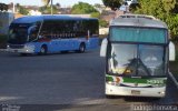 Cia. São Geraldo de Viação 14355 na cidade de Maceió, Alagoas, Brasil, por Rodrigo Fonseca. Número da foto: #1615636.