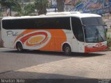 Viação Platina 8200 na cidade de Uberlândia, Minas Gerais, Brasil, por Newton Vitorino Neto. Número da foto: #1617927.
