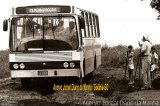 Guarany Transportes e Turismo 5175 na cidade de Goiânia, Goiás, Brasil, por Carlos Júnior. Número da foto: #1579317.