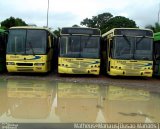 Rondônia Transportes 0103281 na cidade de Manaus, Amazonas, Brasil, por Vicente Pinto Moreira. Número da foto: #1623223.