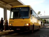 Viação Itapemirim 45013 na cidade de Belo Horizonte, Minas Gerais, Brasil, por Leonardo  de Paula. Número da foto: #1623221.