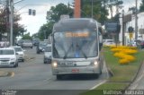 Auto Viação Mercês ML305 na cidade de Curitiba, Paraná, Brasil, por Matheus  Augusto. Número da foto: #:id.