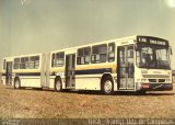 TUCA - Transportes Urbanos Campinas 3339 na cidade de Campinas, São Paulo, Brasil, por Guilherme Rafael. Número da foto: #1625861.