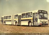 TUCA - Transportes Urbanos Campinas 3339 na cidade de Campinas, São Paulo, Brasil, por Guilherme Rafael. ID da foto: :id.