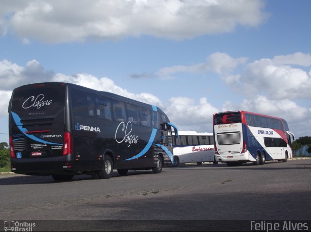 Empresa de Ônibus Nossa Senhora da Penha 52019 na cidade de Pelotas, Rio Grande do Sul, Brasil, por Felipe Alves. ID da foto: 1583014.