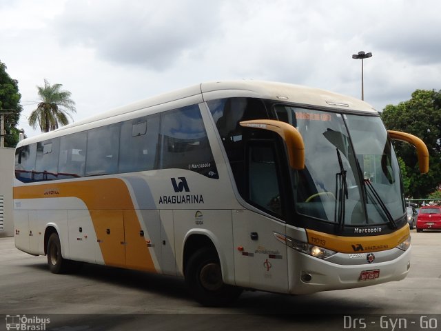 Viação Araguarina 11013 na cidade de Goiânia, Goiás, Brasil, por Daniel Rocha dos Santos. Número da foto: #1581355.