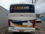 Cos Cob Agência de Viagens e Turismo 1103 na cidade de Cotia, São Paulo, Brasil, por Bruno Santino. Número da foto: #1581205.