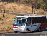 Rouxinol 888 na cidade de Contagem, Minas Gerais, Brasil, por Jones Bh. ID da foto: :id.