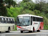 Rouxinol 077 na cidade de Sabará, Minas Gerais, Brasil, por Felipe Gonzalez. Número da foto: #1593144.