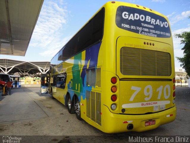 Gado Bravo Turismo 7910 na cidade de Juazeiro do Norte, Ceará, Brasil, por Matheus França Diniz. Número da foto: #1594557.