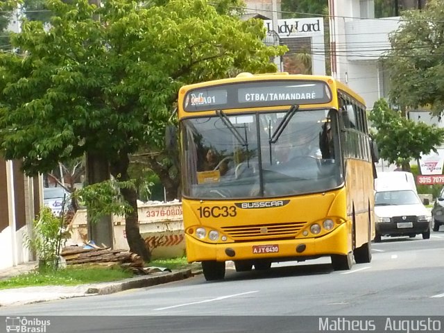 Viação Tamandaré 16C33 na cidade de Curitiba, Paraná, Brasil, por Matheus  Augusto. Número da foto: #1640784.