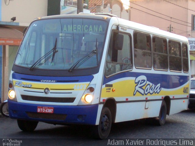 Rosa Turismo 4602 na cidade de Tatuí, São Paulo, Brasil, por Adam Xavier Rodrigues Lima. Número da foto: #1666011.