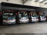 Santa Maria Fretamento e Turismo > Transportes Santa Maria(SP) 400 na cidade de São Bernardo do Campo, São Paulo, Brasil, por Agnaldo Penides. Número da foto: #1668542.