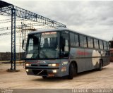 Rosa Turismo 2021 na cidade de Sorocaba, São Paulo, Brasil, por EDUARDO - SOROCABUS. Número da foto: #1669266.