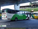 Pássaro Verde 26005 na cidade de Belo Horizonte, Minas Gerais, Brasil, por Valter Francisco. Número da foto: #:id.