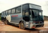 Rosa Turismo 2000 na cidade de Sorocaba, São Paulo, Brasil, por EDUARDO - SOROCABUS. Número da foto: #1673429.