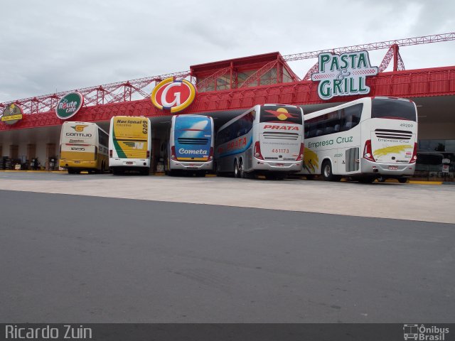 Empresa Gontijo de Transportes 12235 na cidade de Americana, São Paulo, Brasil, por Ricardo Zuin. Número da foto: #1676754.