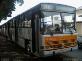 Viação Piracema de Transportes 50353 na cidade de Jaboticabal, São Paulo, Brasil, por Bruno Oliveira. Número da foto: #:id.