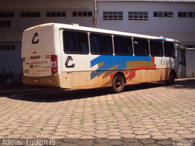 Transporte Coletivo Célico 1950 na cidade de Monte Aprazível, São Paulo, Brasil, por Adems  Equipe 19. Número da foto: #1641963.