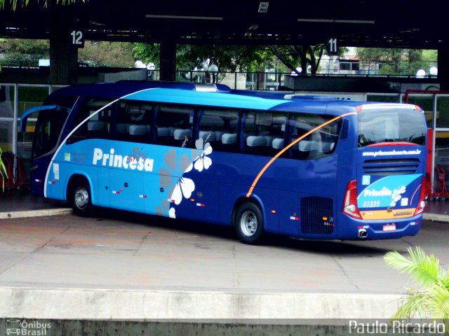 Princesa do Norte 41219 na cidade de Londrina, Paraná, Brasil, por Paulo Ricardo. Número da foto: #1679657.