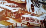 Transportes Única Petrópolis 799 na cidade de Petrópolis, Rio de Janeiro, Brasil, por Felipe R R P S. Número da foto: #:id.