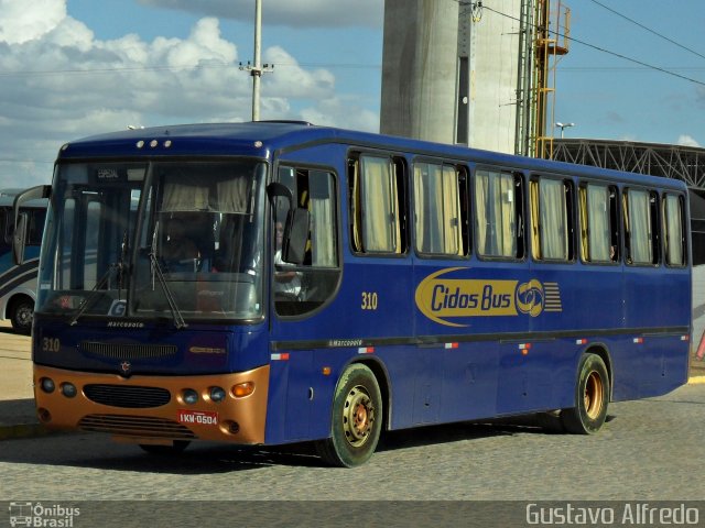 Cidos Bus 310 na cidade de Caruaru, Pernambuco, Brasil, por Gustavo Alfredo. Número da foto: #1693684.