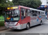 Benfica Diadema 11024 na cidade de Diadema, São Paulo, Brasil, por Natan Felix dos Santos Diniz. Número da foto: #:id.